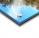 Scottish Highlands Spring Trees                                                                                                                      Acrylic print