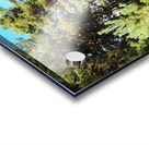 Springs Sunshine for the Scottish Highlands                                                                                                                      Acrylic print