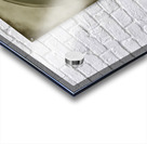 LABRADOR RETRIEVER Acrylic print