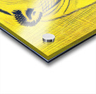 1940s Eric Johnson Cal Golden Bear Cartoon Acrylic print