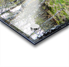  Spring Hike Through the Scottish Highlands                                                                                                                     Acrylic print