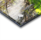  Spring Sunlight and Shadow in the Scottish Highlands                                                                                                                     Acrylic print