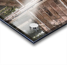 Boots & Blooms Acrylic print