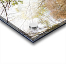 Natures Path Through the Scottish Highlands                                                                                                                    Acrylic print