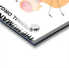 Internal organs of human body Acrylic print