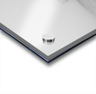 Morning Routine Acrylic print