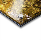 Autumns Kiss for the Scottish Highlands Acrylic print