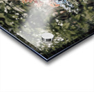 Forgotten Florals Acrylic print