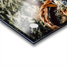 Rusted Grace Acrylic print