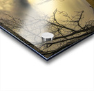 Virginia Barn Survivor Acrylic print