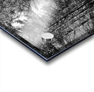 Scottish Highlands Forest Path in Black and White Acrylic print