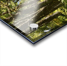 Sunlight Path Through the Scottish Highlands Acrylic print