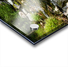 Summer River in the Scottish Highlands Acrylic print