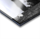 DSC 3874 Acrylic print