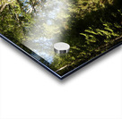 Summer Forest Path Through the Scottish Highlands Acrylic print