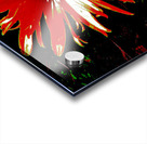 Abstract Red Daisy Acrylic print