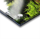 Scenes from the Trail- Morning in the Scottish Highlands                                                                                                                      Acrylic print