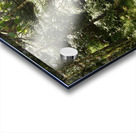 Summer Light in the Scottish Highlands Acrylic print