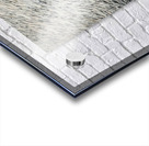 The Photo Album Acrylic print