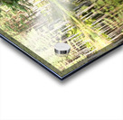 Scottish Highlands Pine Lochan View Acrylic print