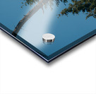 Eagle Flight Acrylic print