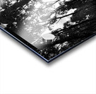 Impressionistic Dark Forest Acrylic print