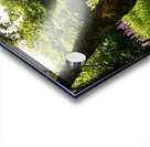 Summer in the Scottish Highlands Acrylic print