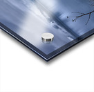 Alaskan Beach Folliage Icy Strait Point Acrylic print