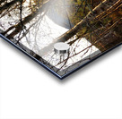 Scottish Highlands Winter Sunlight Acrylic print