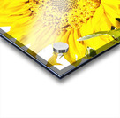 Artistic Flower Acrylic print