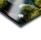 Octopus garden  Acrylic print