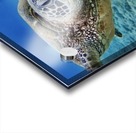 Lets talk  Acrylic print