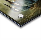 KINGFISHER CHICK Acrylic print