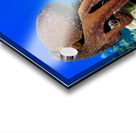 Boss... portrait of red day octopus  Acrylic print