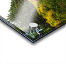 Scottish Highlands Spring Trail Cycling                                                                                                                     Acrylic print