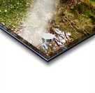 Forest Trail Through The Scottish Highlands Acrylic print