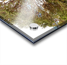 Scottish Highlands Summer Woodland Trail Acrylic print