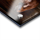 Old Barn Collection Mare and Foal Acrylic print