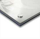 Isheena Acrylic print