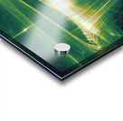 Impervious Acrylic print