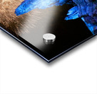 Other World Fireworks Acrylic print