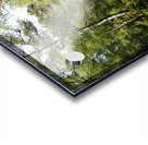  May Trail Through The Scottish Highlands                                                                                                                      Acrylic print