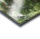 Mays Delight in the Scottish Highlands                                                                                                                Acrylic print