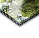 Mays Forest Trail In The Scottish Highlands                                                                                                           Acrylic print