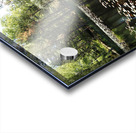  Lily Lochan In The Scottish Highlands                                                                                                                     Acrylic print