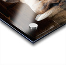 Old Barn Collection Beijing Acrylic print