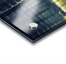 Ingrained Thought Acrylic print