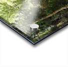 Scottish Highlands Forest Spring Song                                                                                                 Acrylic print