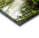 Scottish Highlands Springs Trail                                                                                         Acrylic print