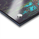 Autumns Palette: Evergreen Pines and Vibrant Perennials by the Reflective Lake Acrylic print